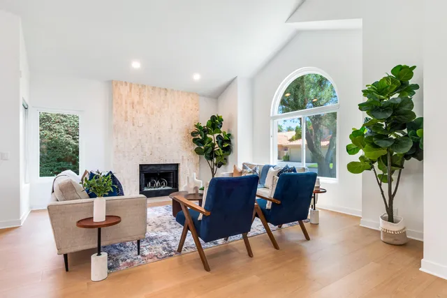 a living room with furniture a potted plant and a fireplace