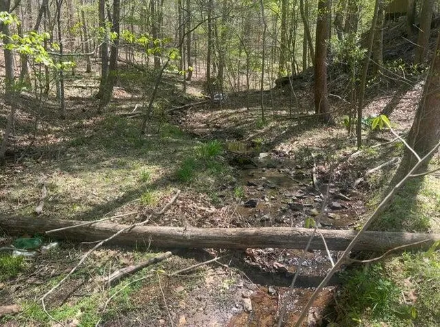 $180,500 | Lot 5 Blackwater Landing Drive, Wirtz, VA 24184