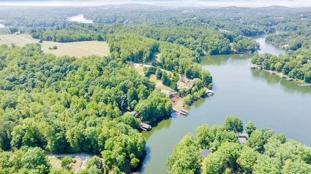 an aerial view of green landscape with trees houses and lake view