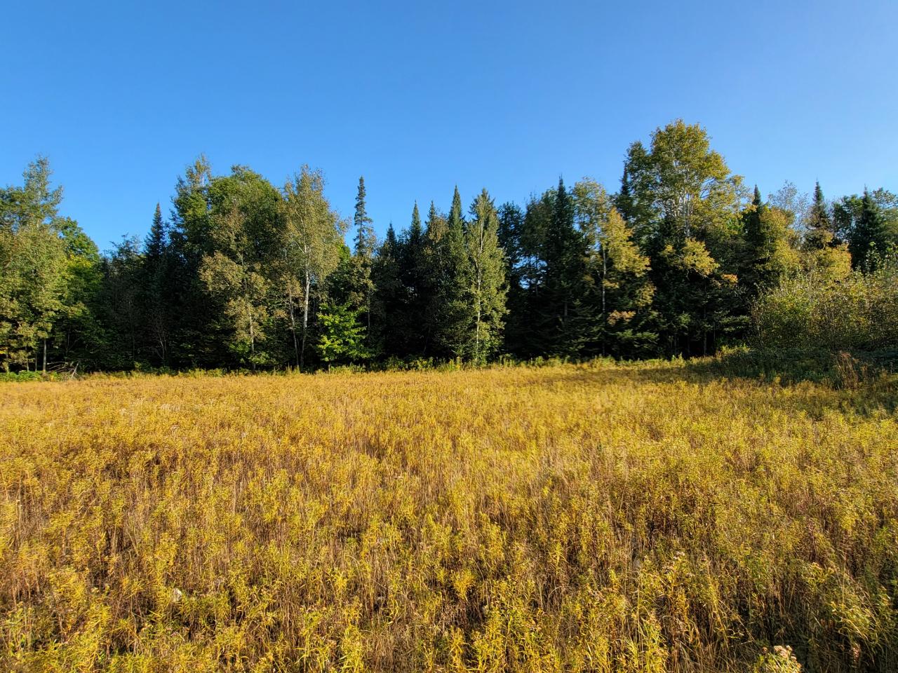 On Polar Road, Unit 80 ACRES Bryant, WI 54418 - Photo 20 of 27 Gallery Image 20