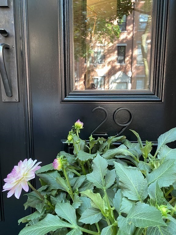 29 East Springfield Street Boston, MA 02118 - Photo 3 of 42