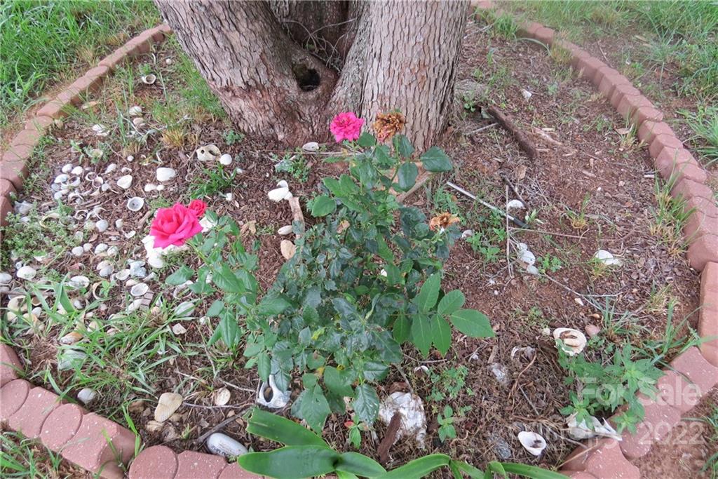 1316 Mayberry Road Dallas, NC 28034 - Photo 11 of 23 a view of a flower