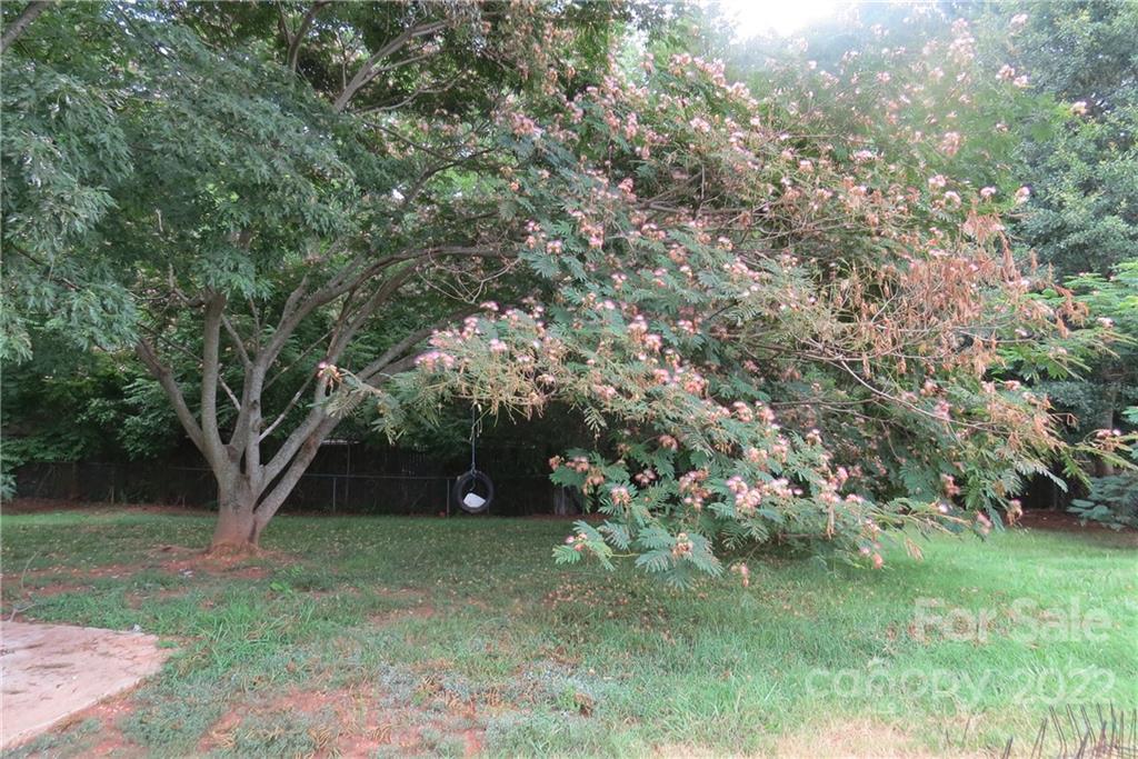 1316 Mayberry Road Dallas, NC 28034 - Photo 17 of 23 a view of a tree in a yard