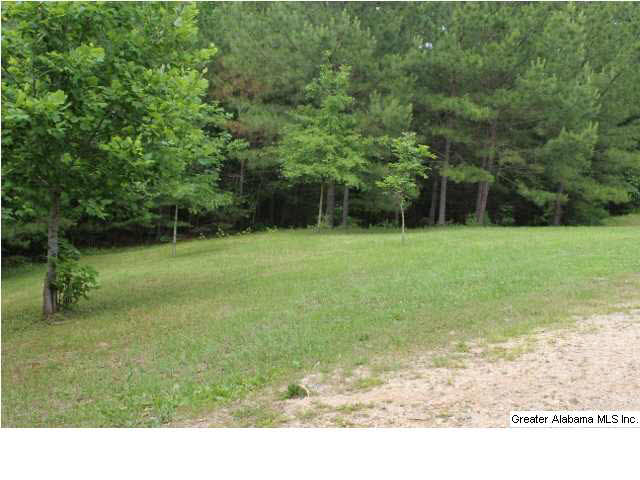 290 County Road 607 Clanton, AL 35046 - Photo 3 of 22