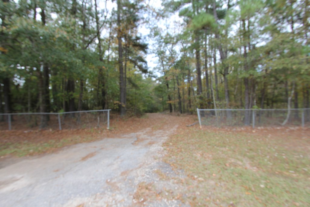 641 Stitcher Road Hogansville, GA 30230 - Photo 3 of 12 Gallery Image 3