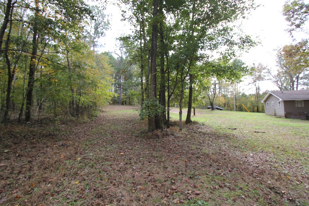 641 Stitcher Road Hogansville, GA 30230 - Photo 4 of 12 Gallery Image 4
