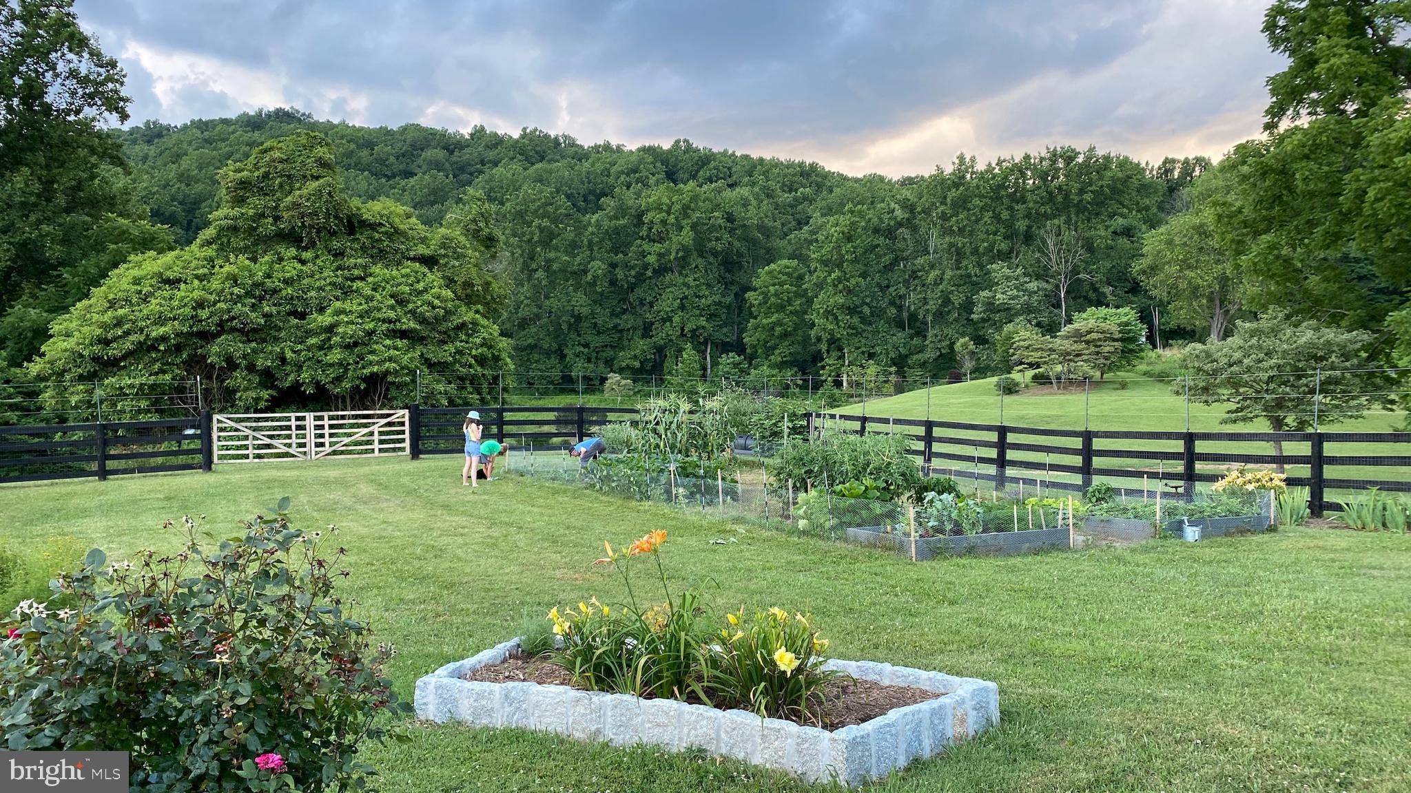 147 Riley Hollow Road Huntly, VA 22640 - Photo 57 of 103 Gallery Image 57