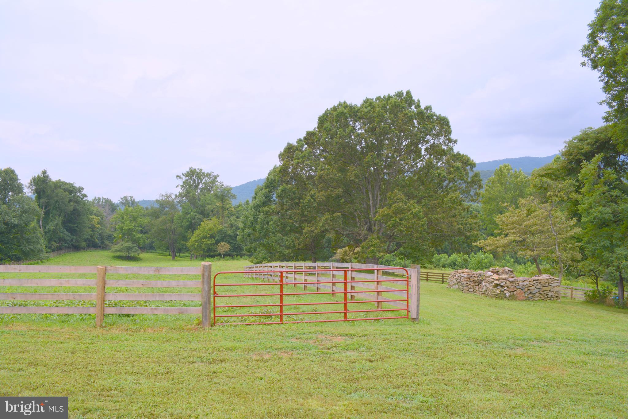 147 Riley Hollow Road Huntly, VA 22640 - Photo 64 of 103 Gallery Image 64