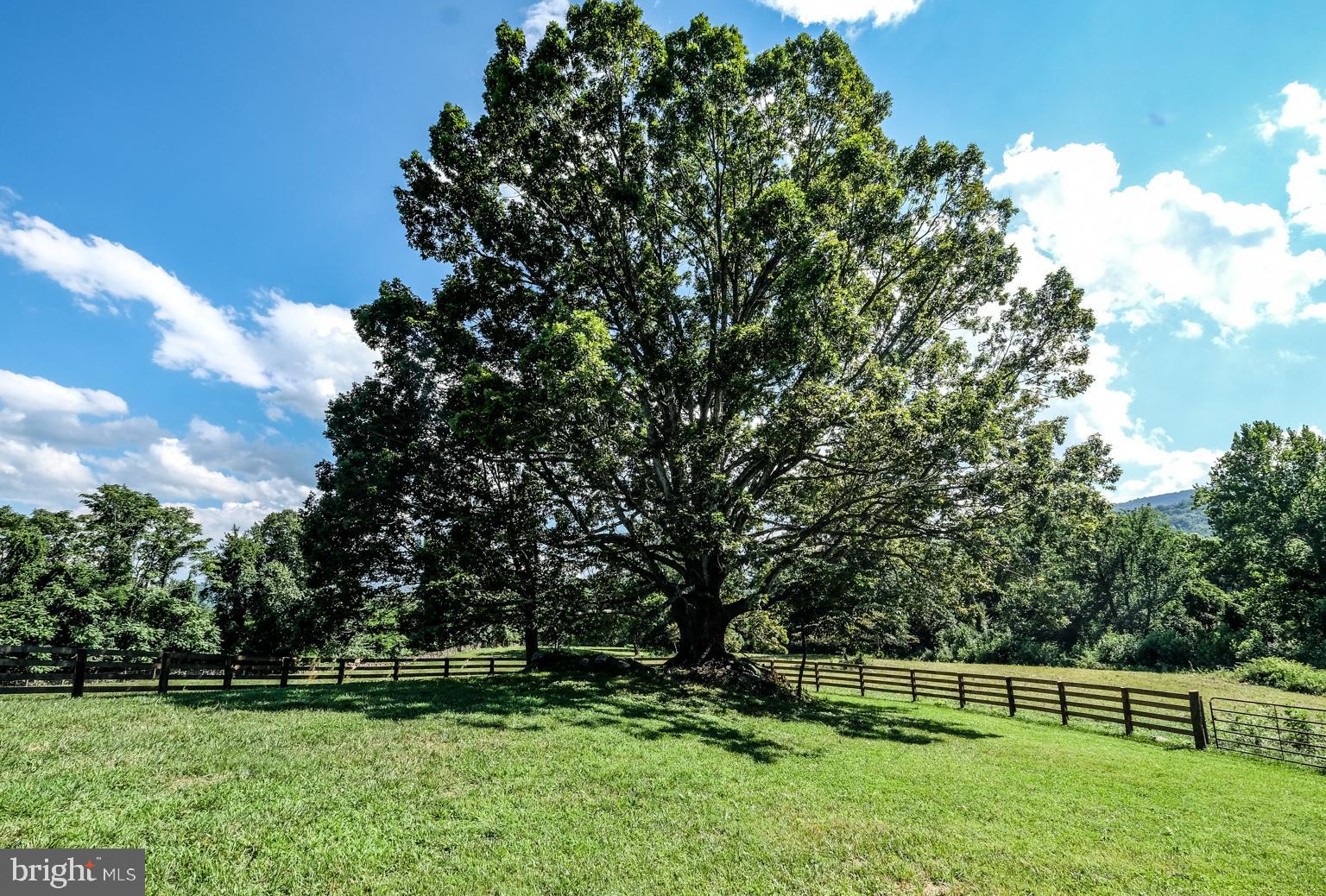 147 Riley Hollow Road Huntly, VA 22640 - Photo 66 of 103 Gallery Image 66