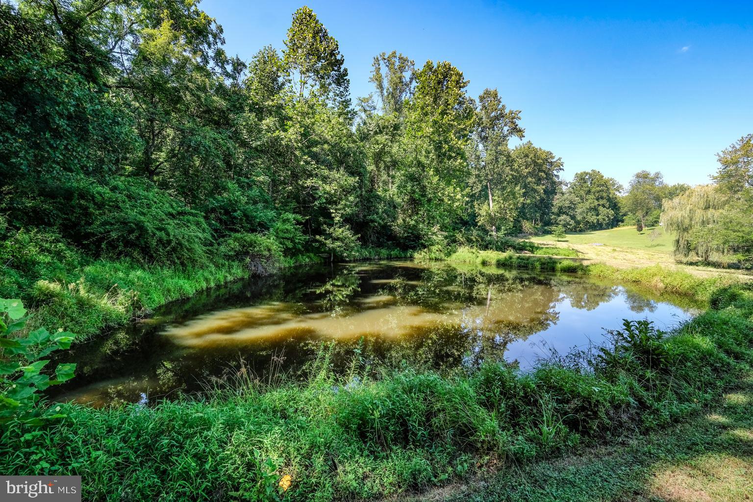 147 Riley Hollow Road Huntly, VA 22640 - Photo 70 of 103 Gallery Image 70