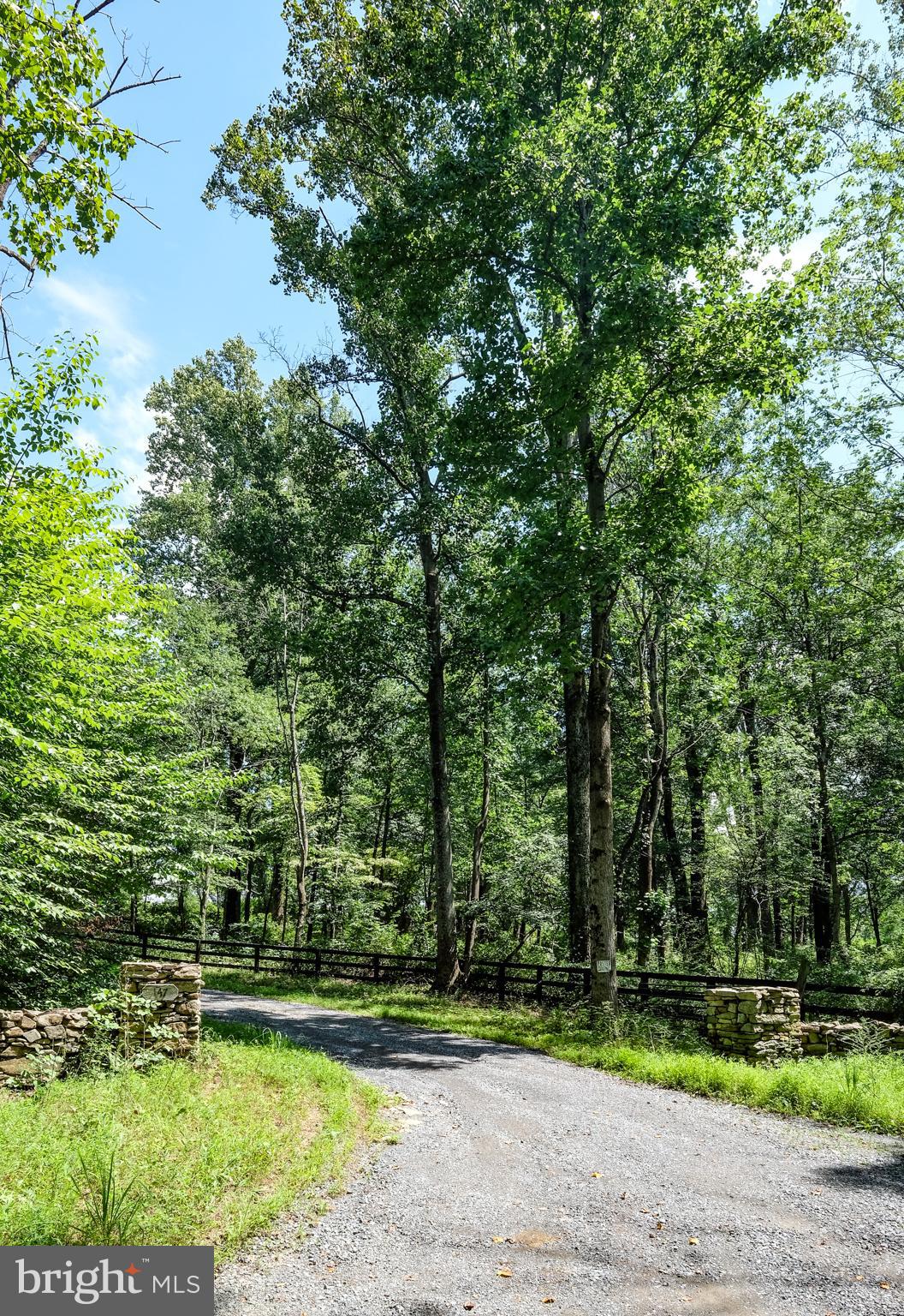 147 Riley Hollow Road Huntly, VA 22640 - Photo 74 of 103 Gallery Image 74