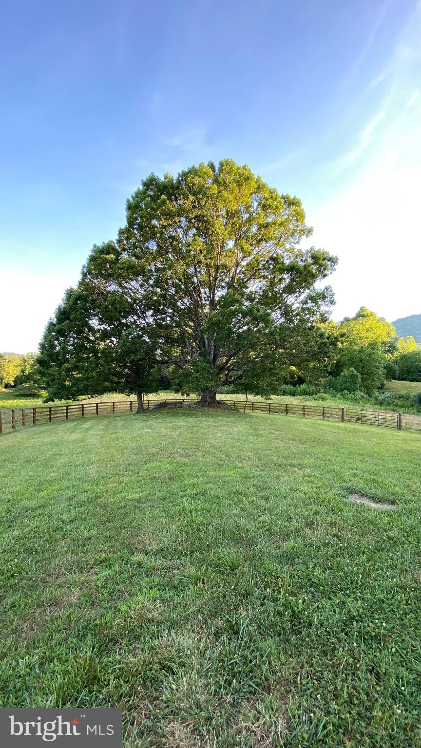 147 Riley Hollow Road Huntly, VA 22640 - Photo 95 of 103 Gallery Image 95