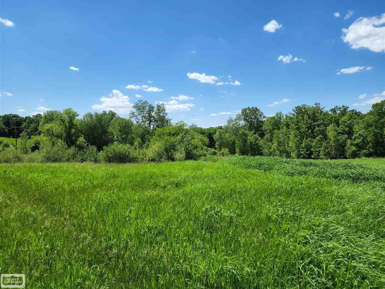 0 Brewer Road Leonard, MI 48367 - Photo 6 of 7