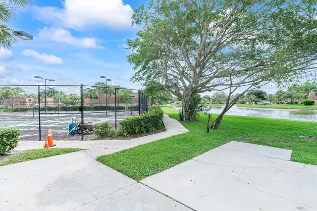 a view of a park with a tree