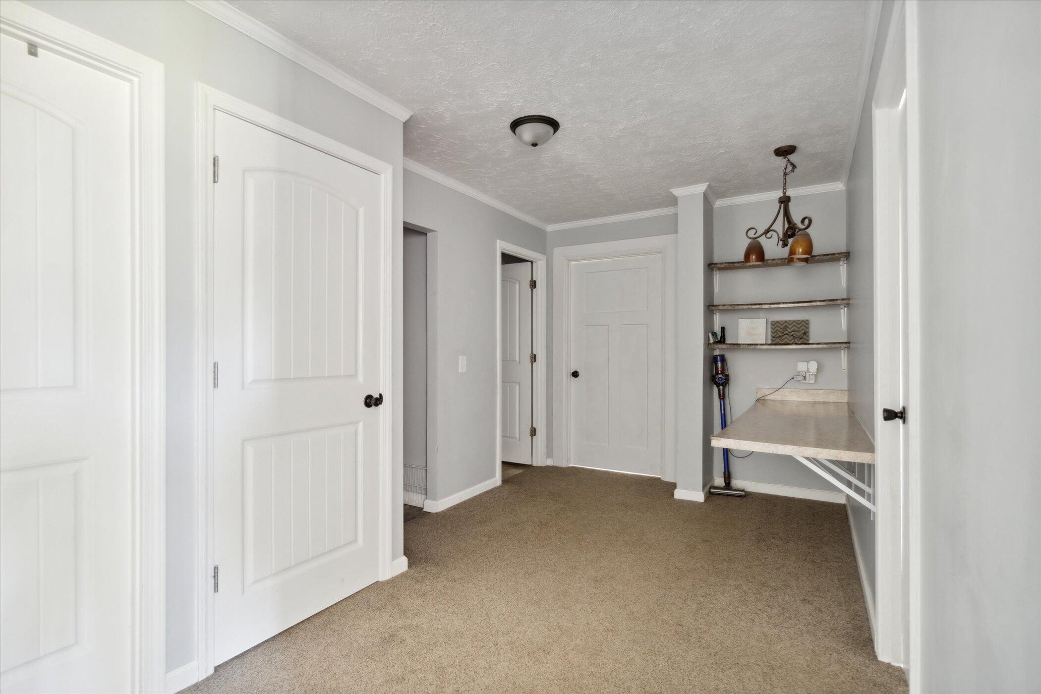 8790 North Meridian Road Pleasant Lake, MI 49272 - Photo 23 of 66 24-8790-N-Meridian-Rd-Pleasant-Lake-MI-4