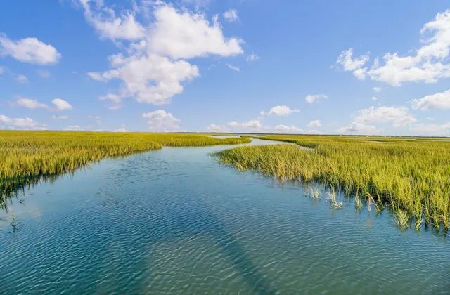 $4,500 | 2089 Oyster Reef Lane, Mount Pleasant, SC 29466