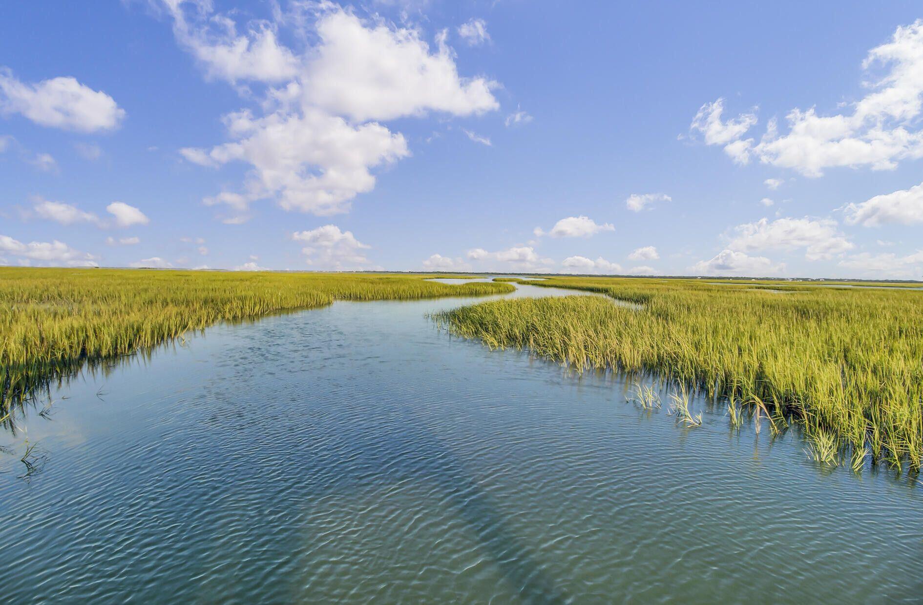 2089 Oyster Reef Lane Mount Pleasant, SC 29466 - Photo 81 of 84 B27