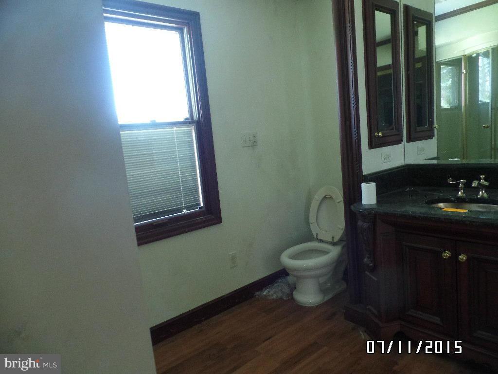 919 Oakdene Road Baltimore, MD 21220 - Photo 23 of 23 Bath (Master)