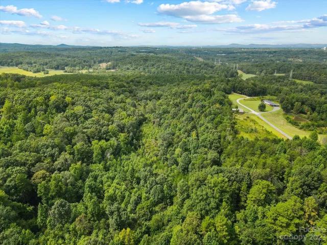 a view of a city with lush green forest