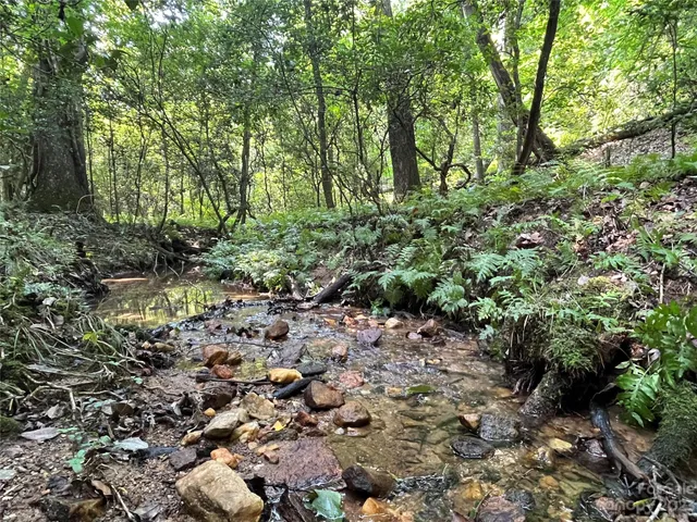 a view of a forest with trees