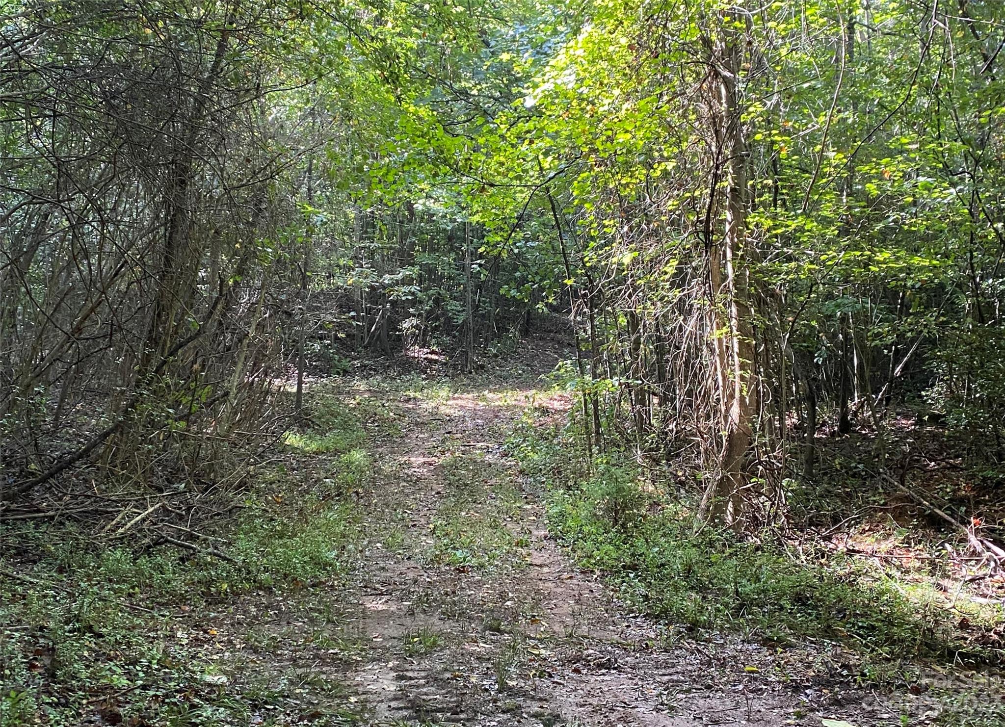 127 None S Hickory Nc 28602 None South, Unit NONE Hickory, NC 28602 - Photo 7 of 18 a view of forest