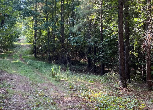 a view of outdoor space and trees