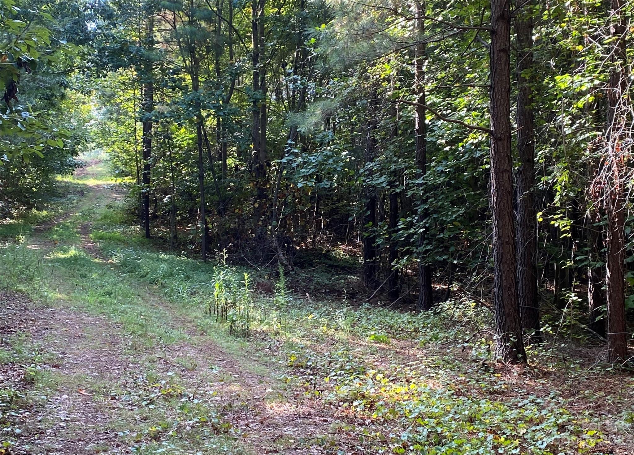 127 None S Hickory Nc 28602 None South, Unit NONE Hickory, NC 28602 - Photo 9 of 18 a view of outdoor space and trees