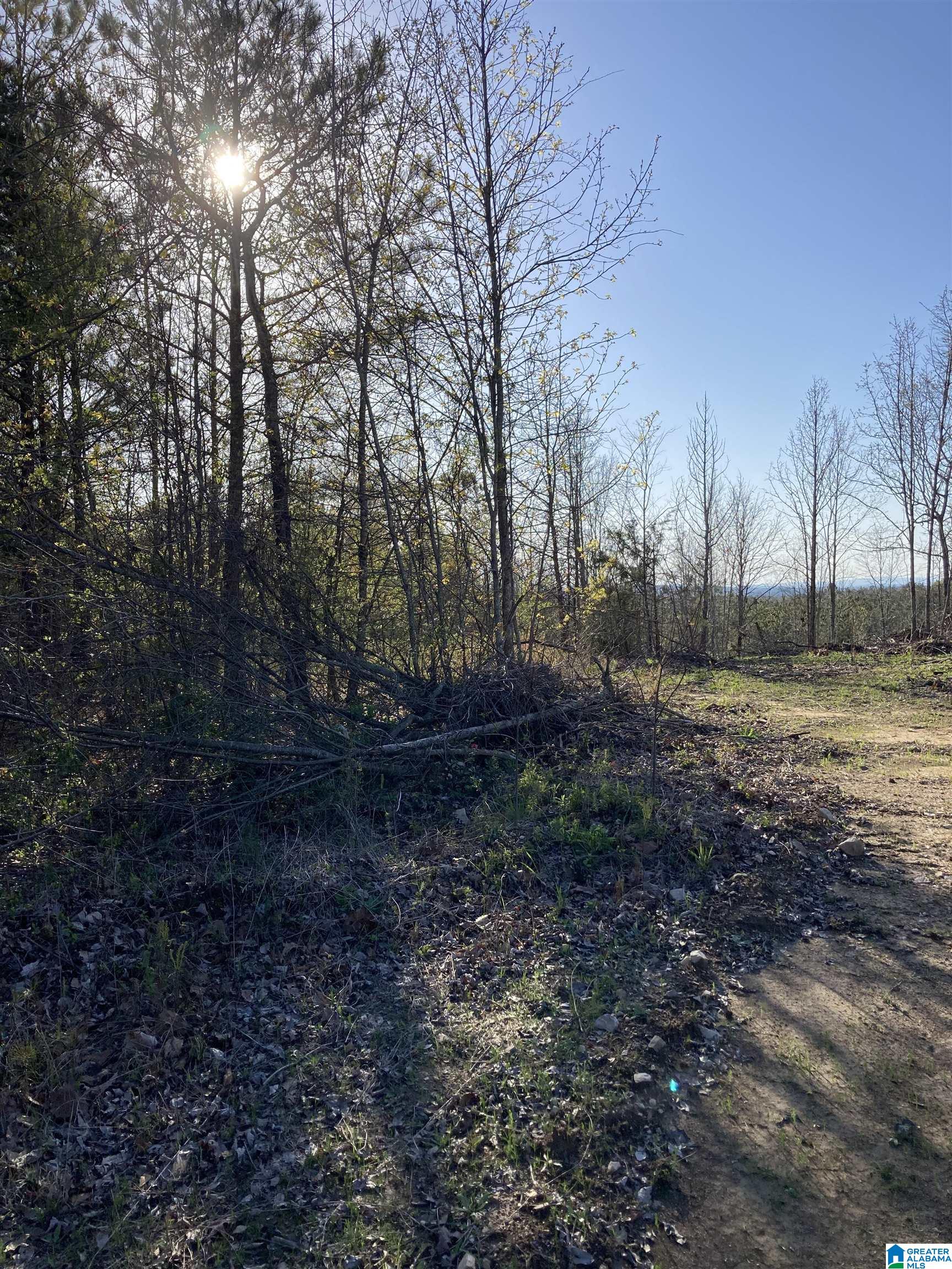 0 Jackson Trace Road, Unit 4 1 Talladega, AL 35160 - Photo 14 of 27