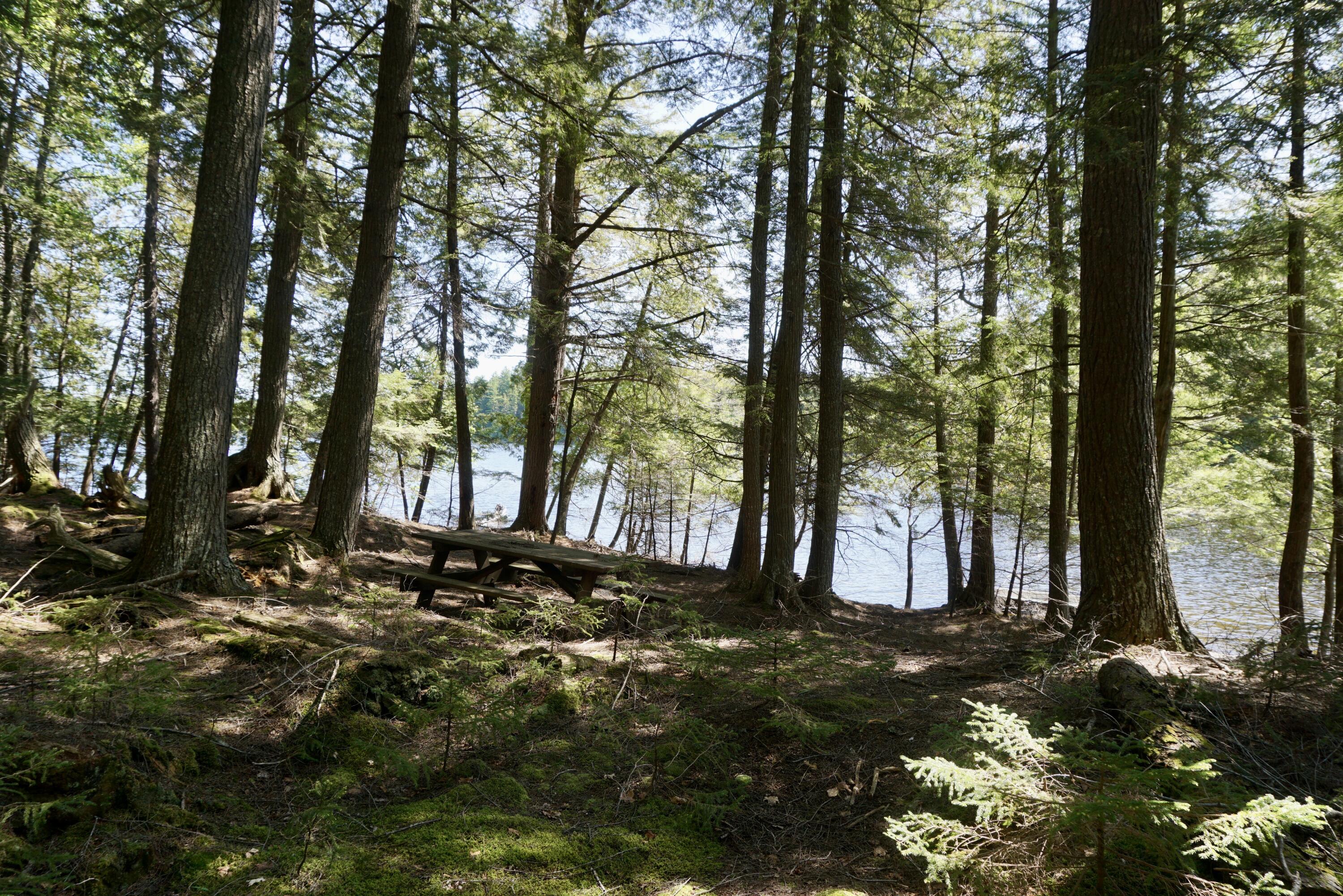 Lot 79-80 Black Point Road Beaver Cove, ME 04441 - Photo 7 of 11 5758D69D-BBDF-4E41-AF17-2644C73562A9_1_2