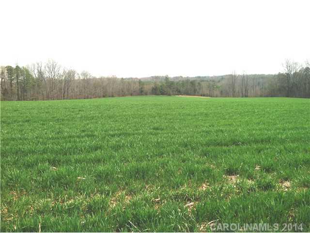 2336 Mathis Church Road Catawba, NC 28609 - Photo 4 of 9 Gallery Image 4