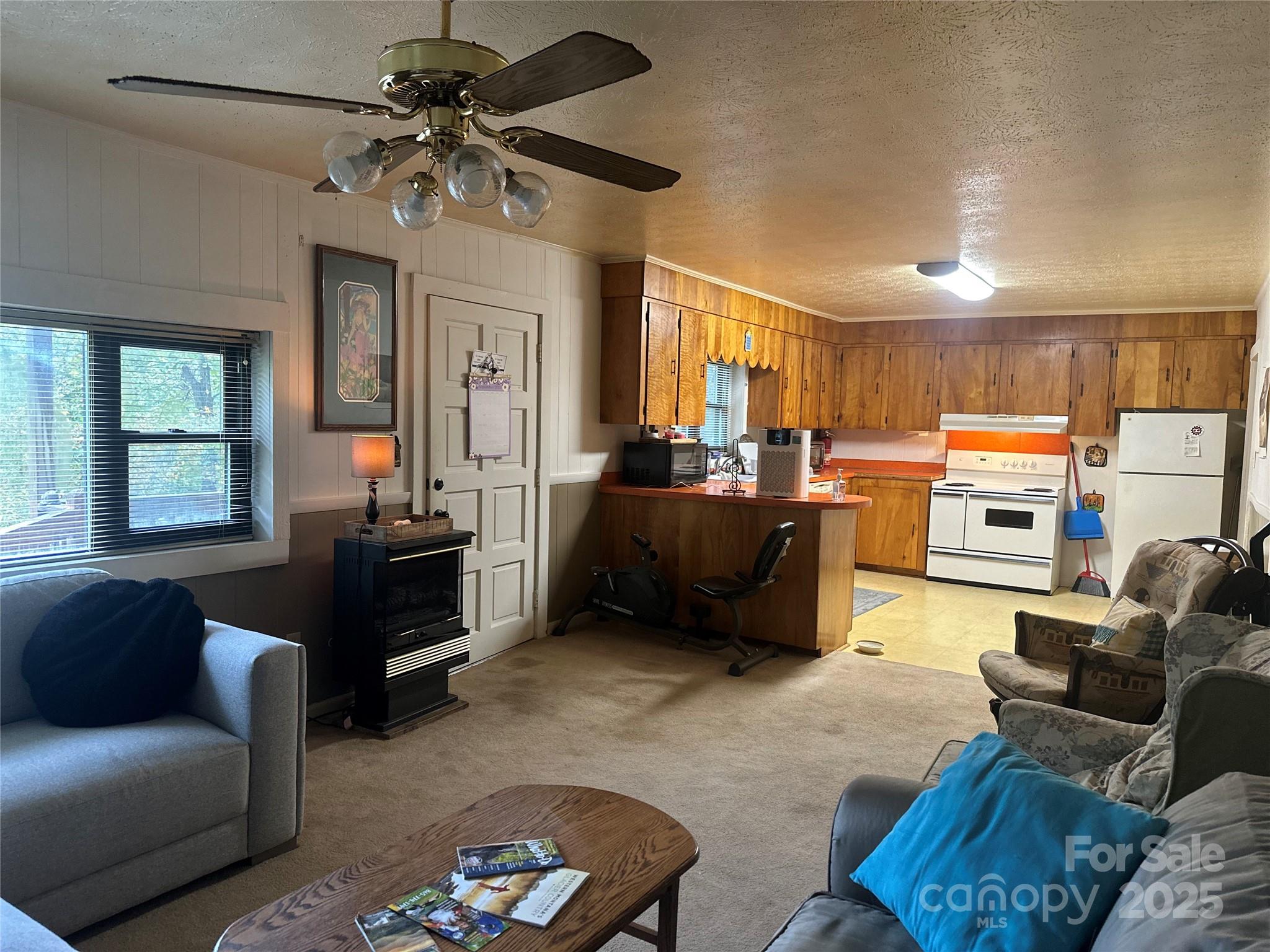 433 Deneen Road Burnsville, NC 28714 - Photo 11 of 32 a living room with furniture ceiling fan and a window