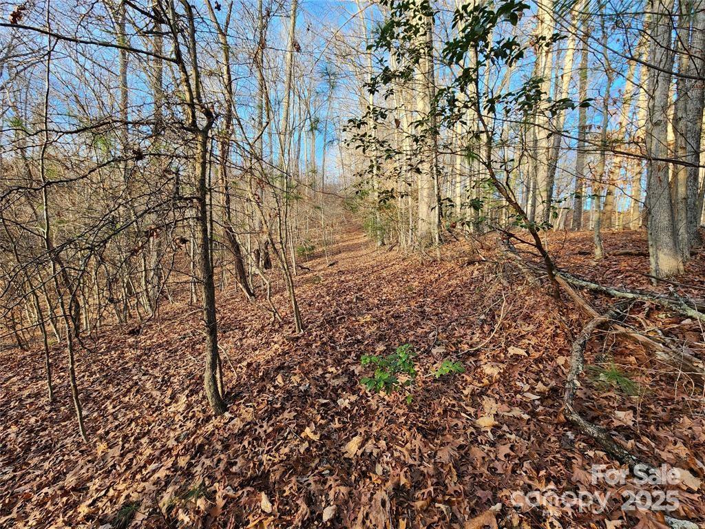 433 Deneen Road Burnsville, NC 28714 - Photo 22 of 32 a view of a yard