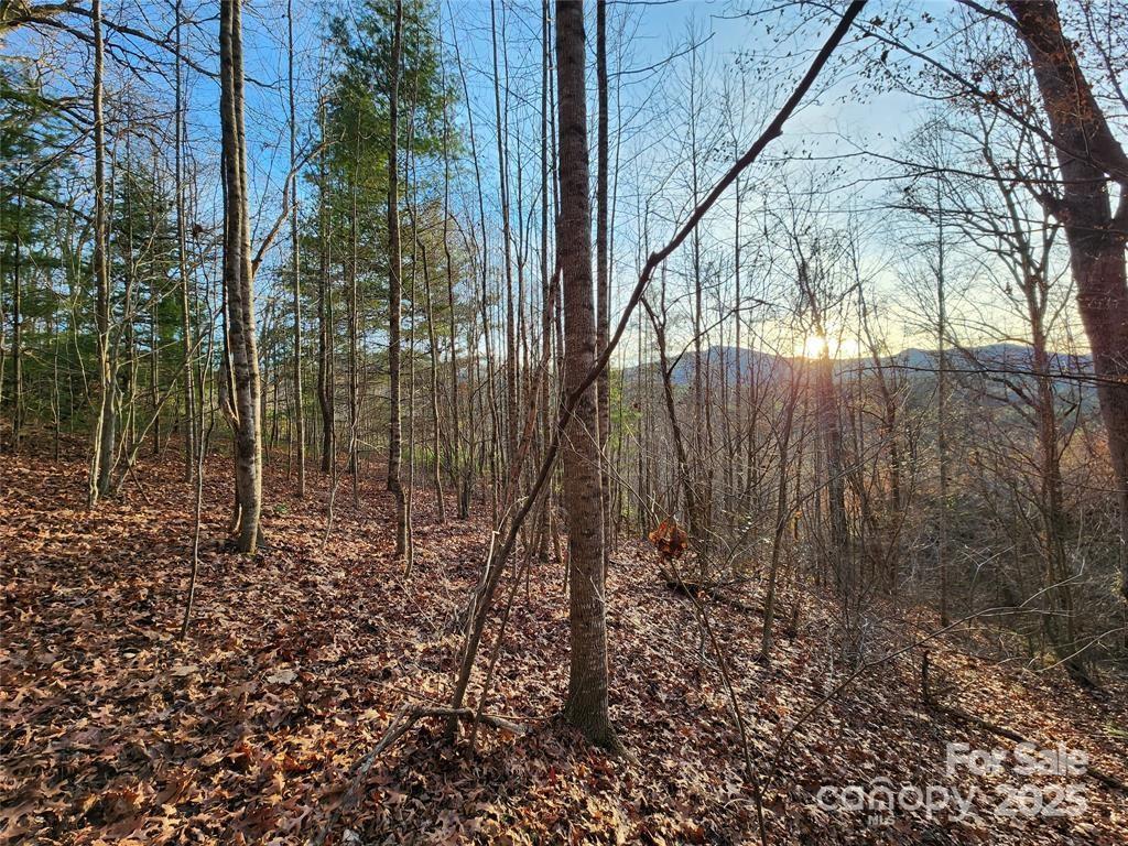 433 Deneen Road Burnsville, NC 28714 - Photo 23 of 32 a view of a backyard