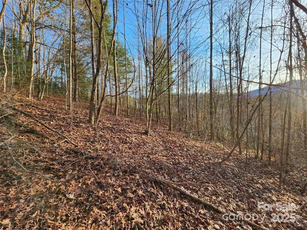 433 Deneen Road Burnsville, NC 28714 - Photo 27 of 32 a view of a backyard