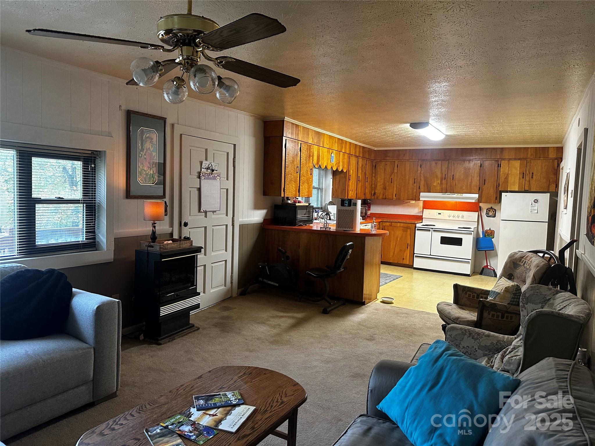 433 Deneen Road Burnsville, NC 28714 - Photo 5 of 32 a living room with furniture and a flat screen tv