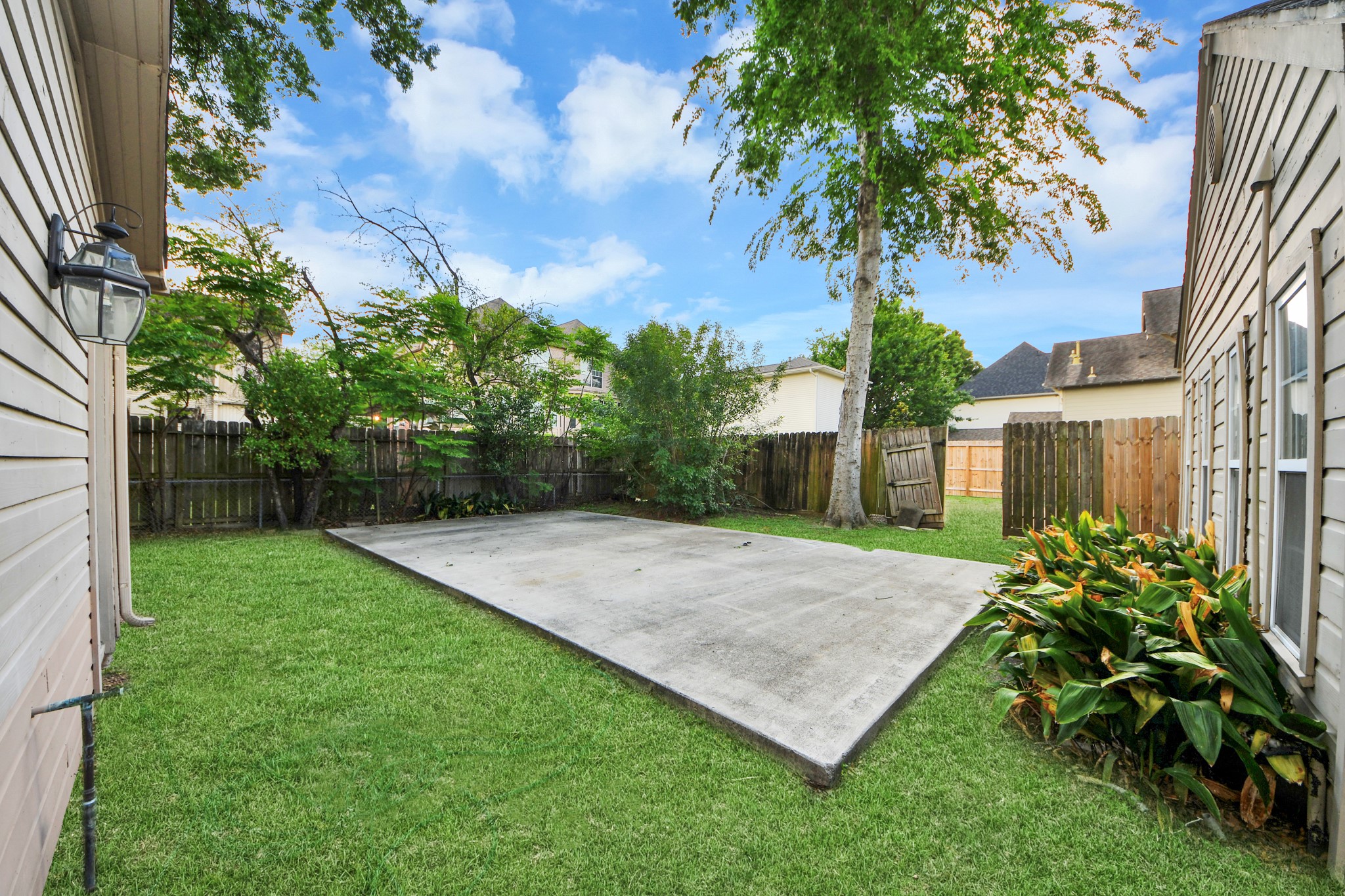 2014 Commonwealth Street Houston, TX 77006 - Photo 41 of 49 a view of a backyard with a plants and palm trees