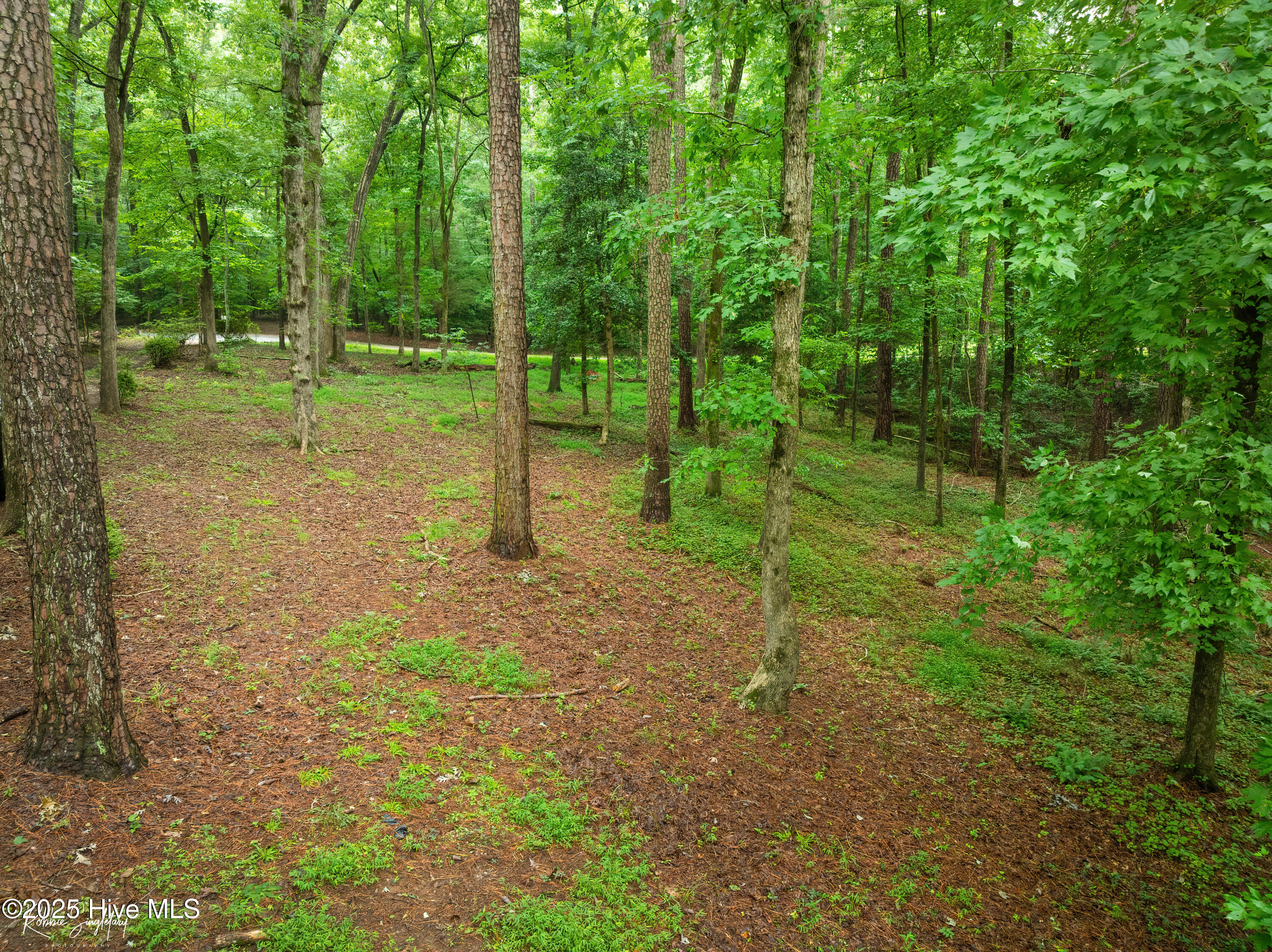 299 Rankin Lake Road Ellerbe, NC 28338 - Photo 58 of 61 RS 1 DJI_0557