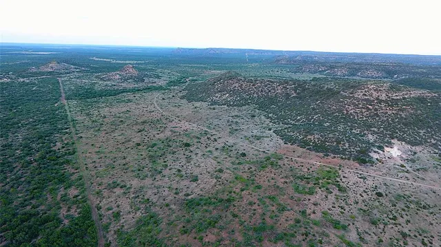 a view of a dry yard with lots of green space and deers