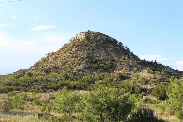 a view of a field with an ocean
