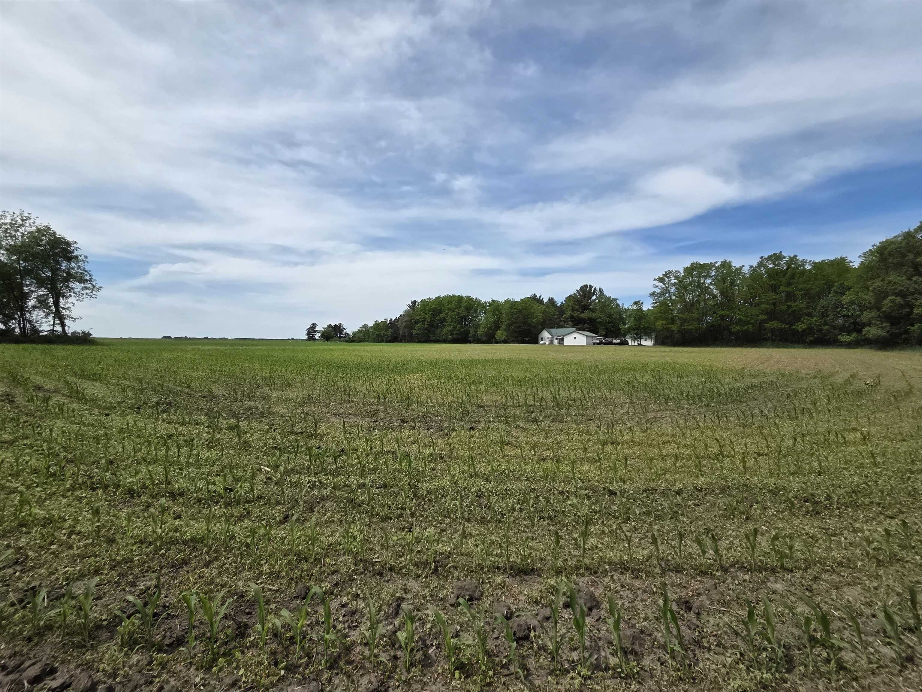 305 William Street Avoca, WI 53506 - Photo 20 of 38