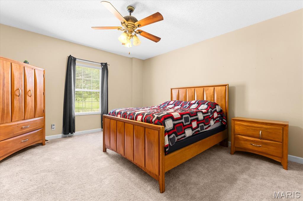400 Grand Orchid Road O'Fallon, IL 62269 - Photo 39 of 46