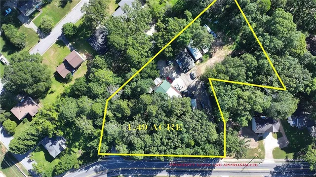 a view of a forest with trees in the background