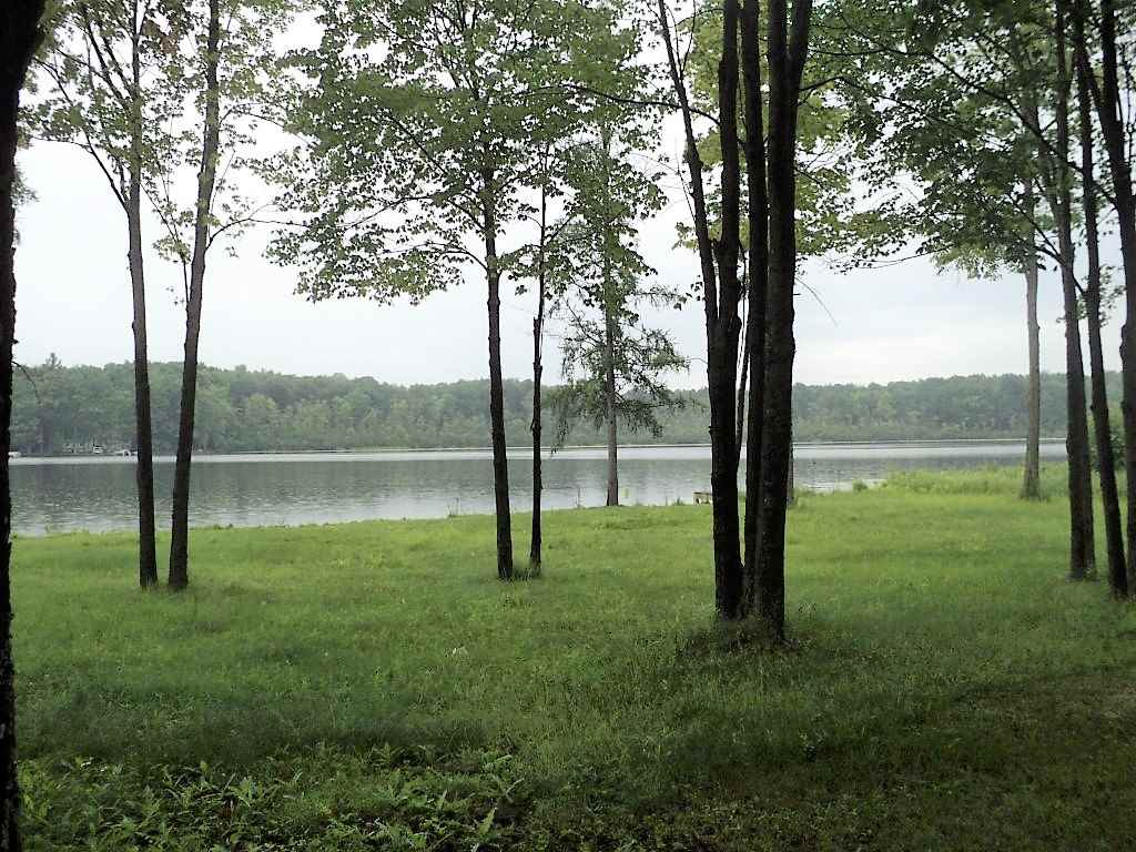 4289 South Fox Run Remus, MI 49340 - Photo 40 of 45 1835413-39.JPG