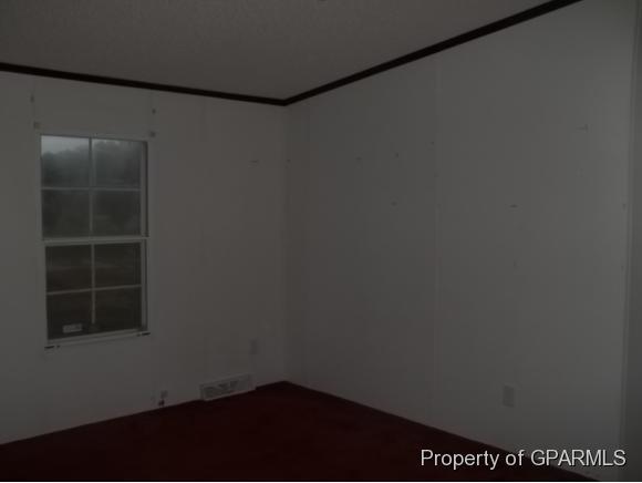 159 Chicken Neck Road Teachey, NC 28464 - Photo 10 of 11 Additional Photo