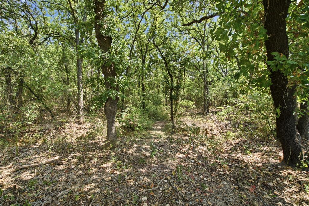 374 Clark Lake Road Weatherford, TX 76088 - Photo 33 of 38 Gallery Image 33