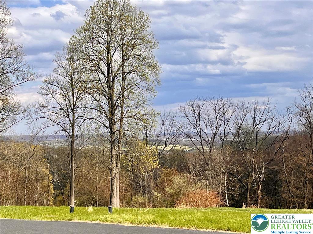 470 Kulps Road Barto, PA 19504 - Photo 3 of 18 Gallery Image 3