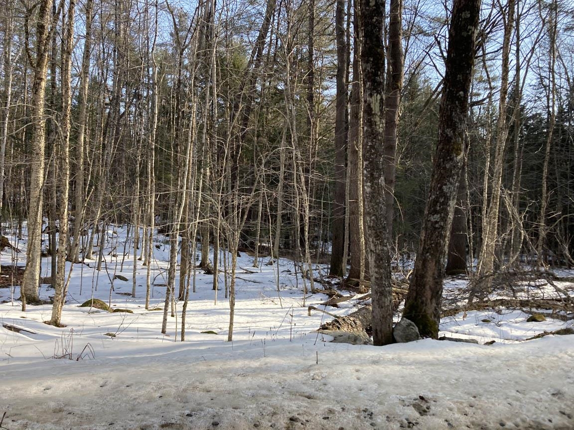 214-010 Millbrook Road Thornton, NH 03285 - Photo 8 of 23