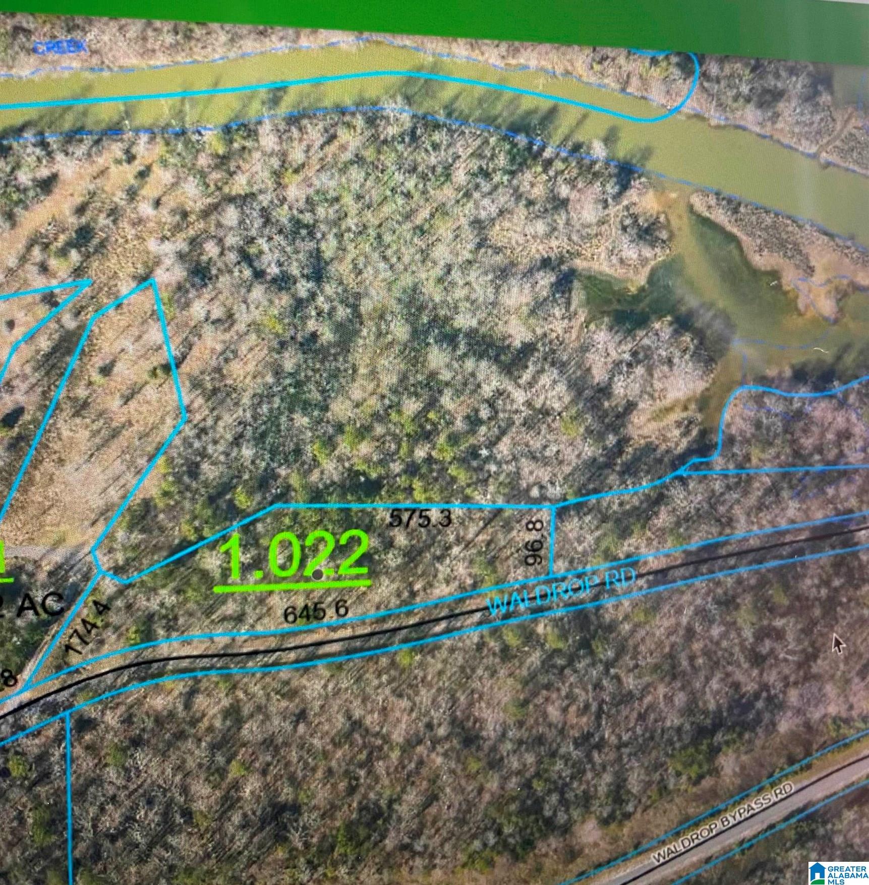 0 Waldrop Road Ashville, AL 35953 - Photo 5 of 5