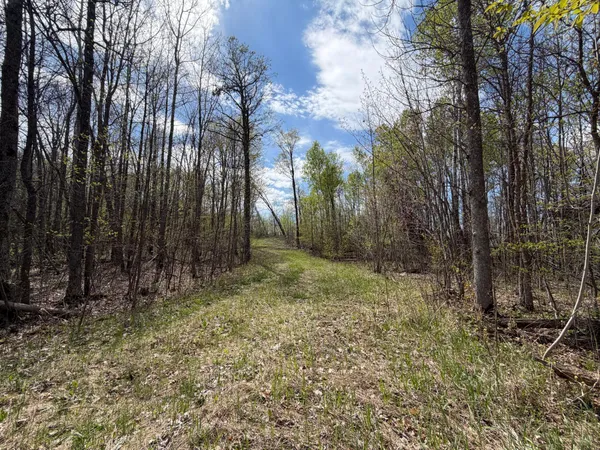 $42,500 | 51265 Vagabond Loop, Bemidji, MN 56601