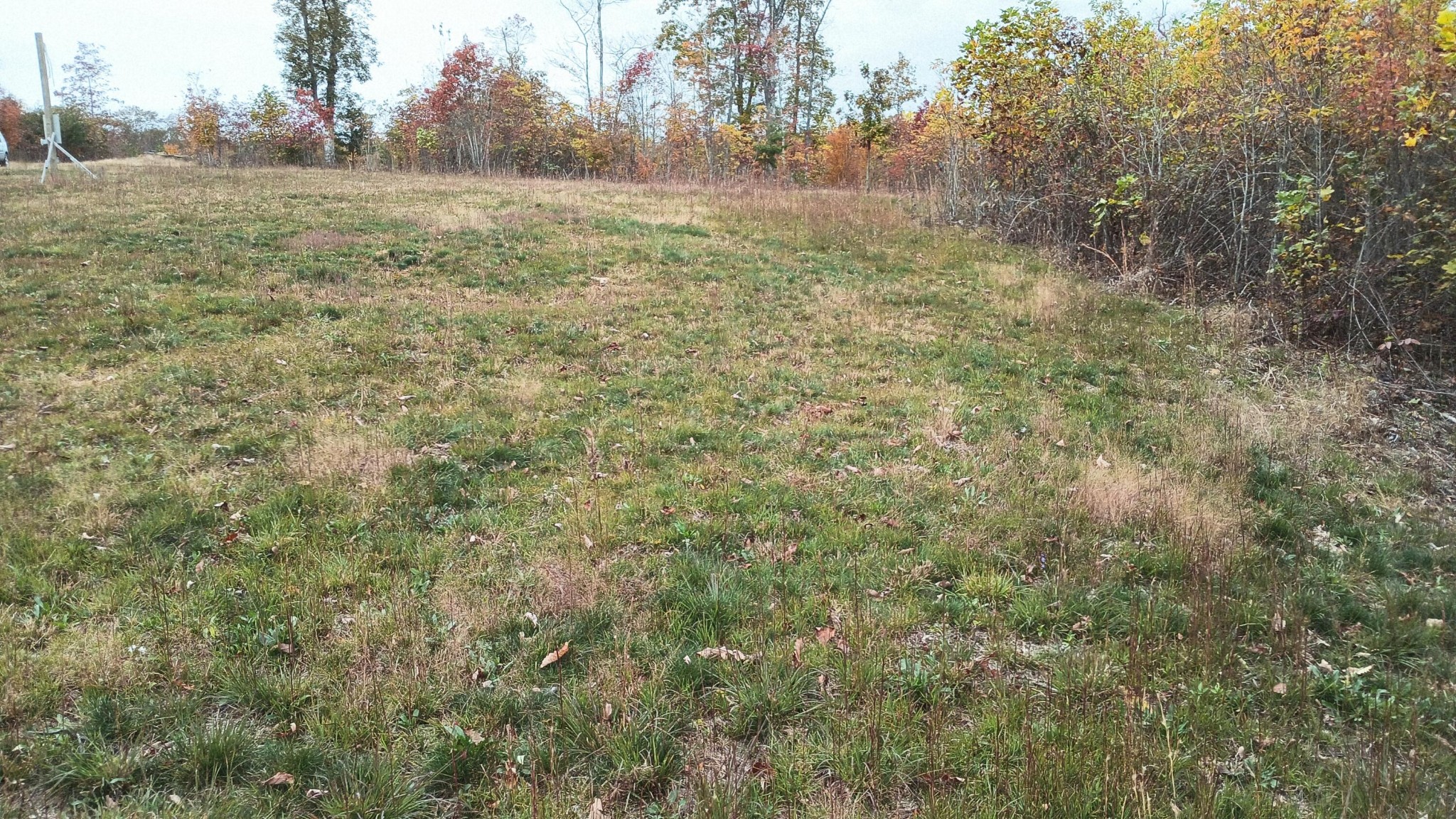 0 Overview Road Crossville, TN 38572 - Photo 5 of 18 Gallery Image 5
